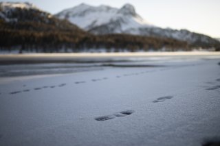 Des chutes de neige en altitude pendant l'été se produisent tous les deux à trois ans en Suisse (archives).